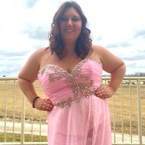 Light pink Size 20 corset/zipper back